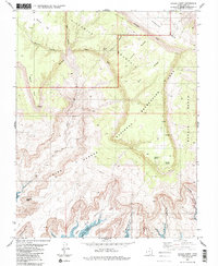 Navajo Point 1985 topographic map thumbnail