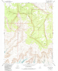 Navajo Point 1985 topographic map thumbnail