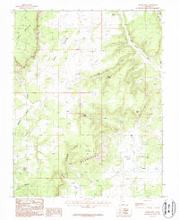 Nephi Point 1987 topographic map thumbnail