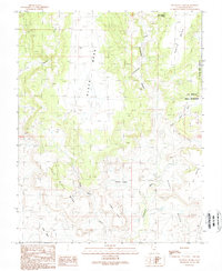 No-mans Island 1989 topographic map thumbnail