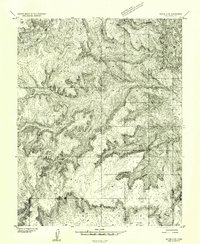 Notom 4 SW topographic map thumbnail