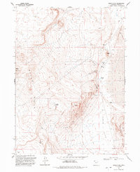 Peplin Flats 1991 topographic map thumbnail