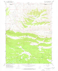 Phil Pico Mtn 1963 topographic map thumbnail