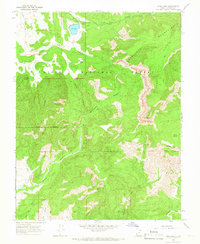 Pine Lake 1964 topographic map preview