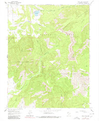Pine Lake 1964 topographic map thumbnail