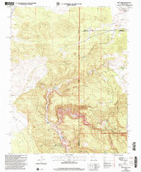 Pine Park 2002 topographic map thumbnail