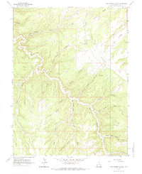 Pine Spring Canyon 1966 topographic map preview