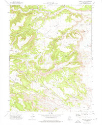 Pinnacle Peak 1972 topographic map thumbnail