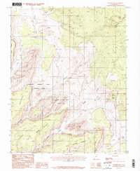 Pioneer Mesa 1987 topographic map thumbnail