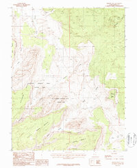 Pioneer Mesa 1987 topographic map thumbnail