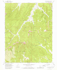 Podunk Creek 1966 topographic map thumbnail