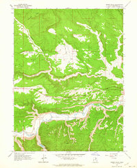 Rabbit Gulch 1962 topographic map thumbnail