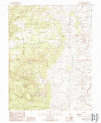 Raggy Canyon 1988 topographic map thumbnail
