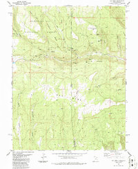 Ray Mesa 1986 topographic map thumbnail