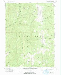 Rays Valley 1967 topographic map preview