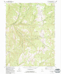 Rays Valley 1994 topographic map thumbnail