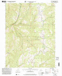 Rays Valley 1998 topographic map preview