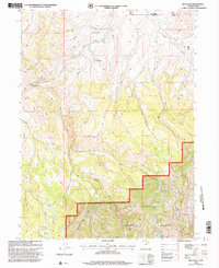 Red Hole 1998 topographic map thumbnail