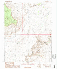 Red House Spring 1987 topographic map thumbnail