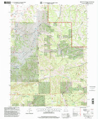 Red Spur Mountain 1998 topographic map thumbnail