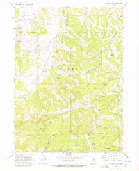Red Spur Mtn 1969 topographic map thumbnail