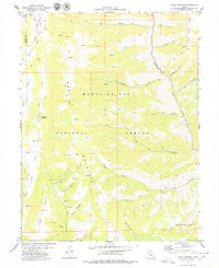 Rilda Canyon 1979 topographic map thumbnail