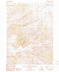 Rosevere Point 1990 topographic map thumbnail