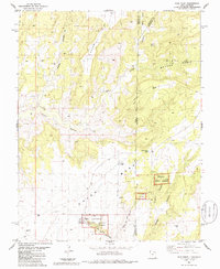 Ruin Point 1985 topographic map thumbnail