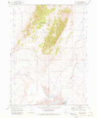 Salt Wells 1968 topographic map thumbnail