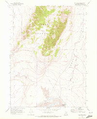 Salt Wells 1968 topographic map thumbnail