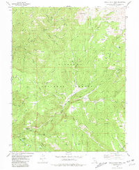Shelly Baldy Peak 1981 topographic map thumbnail