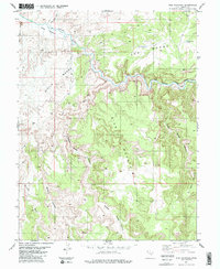 Sids Mountain 1983 topographic map thumbnail