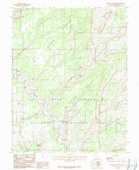 Silver Falls Bench 1987 topographic map thumbnail
