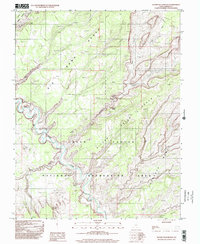 Silver Falls Bench 1997 topographic map thumbnail