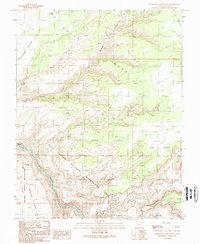 Slickhorn Canyon East 1989 topographic map thumbnail
