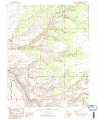 Slickhorn Canyon East 1989 topographic map thumbnail