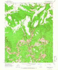 Slickrock Bench 1964 topographic map thumbnail