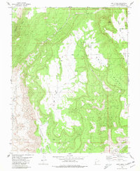 Smith Mesa 1980 topographic map preview