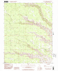 Snow Flat Spring Cave 1996 topographic map thumbnail