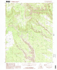 South Long Point 1985 topographic map thumbnail