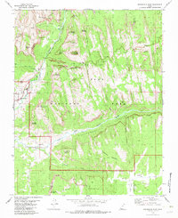 Springdale East 1980 topographic map thumbnail