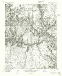 Springdale NE 1956 topographic map thumbnail