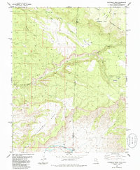 Steamboat Mesa 1985 topographic map thumbnail