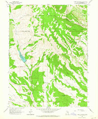Tabby Mountain 1962 topographic map thumbnail