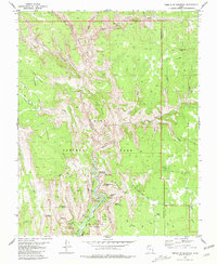 Temple of Sinawava 1980 topographic map thumbnail