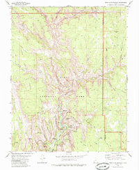 Temple of Sinawava 1980 topographic map thumbnail