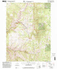 Temple Peak 1998 topographic map thumbnail