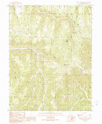 Tenmile Canyon South 1991 topographic map thumbnail