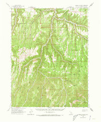Tenmile Canyon topographic map thumbnail