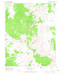 Tenmile Flat 1964 topographic map thumbnail